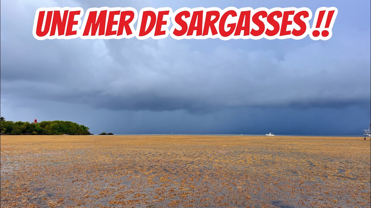 #109 From squall to squall …