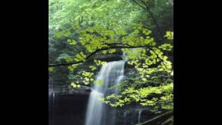 Branduardi La favola degli aironi