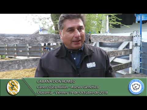 19-10-18 Nota Carlos Ojea Rullán - Asesor Genético - Cabaña Don Romeo - Olavarría