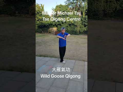 大雁氣功 Wild Goose Qigong #qigong #health #healing #relax #circulation #氣功 #健康 #放鬆 #血液循環 #breathing #呼吸