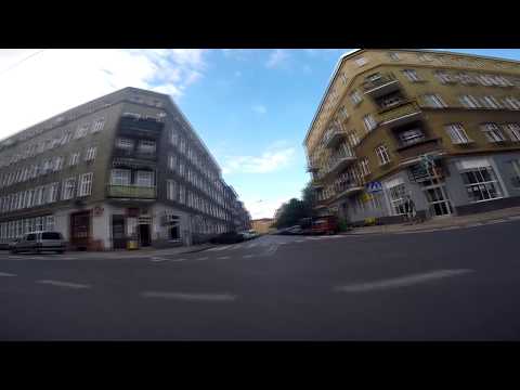 tentamten - zagrożony gatunek