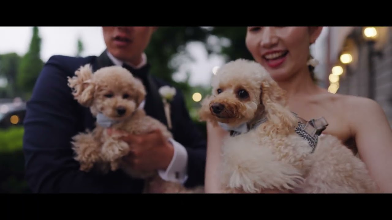 【東京駅×愛犬】キラキラ輝く夜の街で残す、ふたりと愛犬の特別な時間