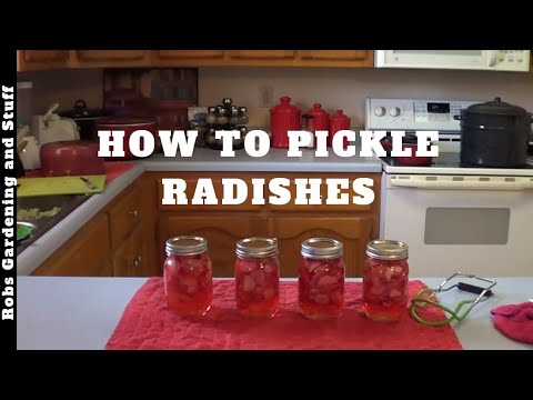 How To Pickle Radishes