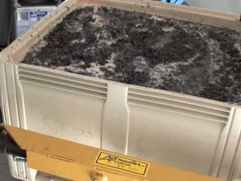 Figge Cellars : Harvest & Crush