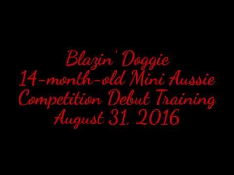 Blazin' Doggie - Competition Debut Training (8/31/16)