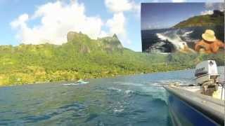 preview picture of video 'Funny Day in Moorea EcoLodge'