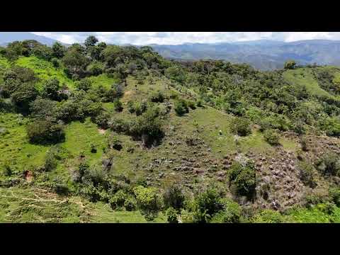 Finca la libertad, Cañasgordas, Antioquia. Segunda parte