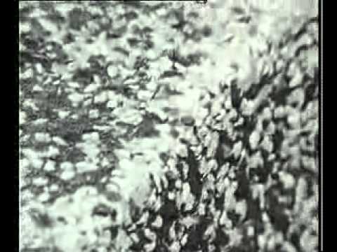 Hermafrodit - Architektura ostrých hran