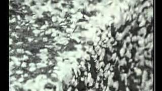 Architektura ostrých hran