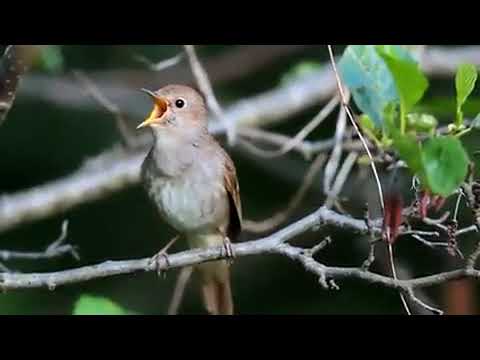 ۲۶ اوت ۲۰۲۲