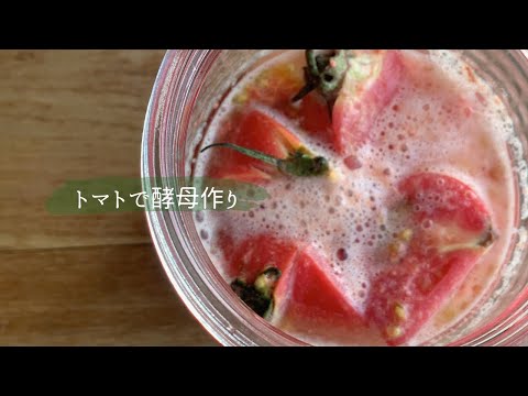 トマトの苗を増やす方法イラクサ肥料肥料