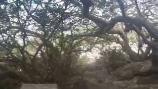 Olosho-Oibor (Kenya)