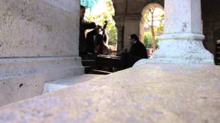 Dirty Purple Turtle live @ AKuT