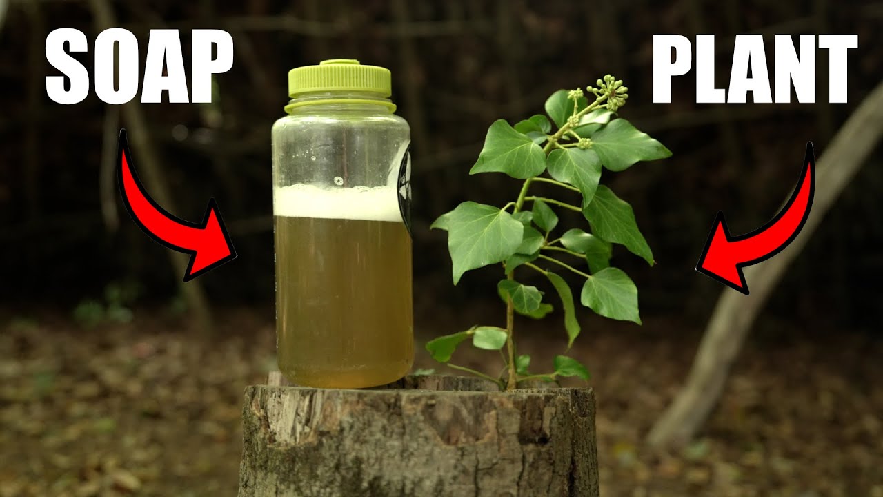 How to make Soap from Nature