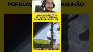 CE tá doido isso aqui tá lindo demais. kkkk