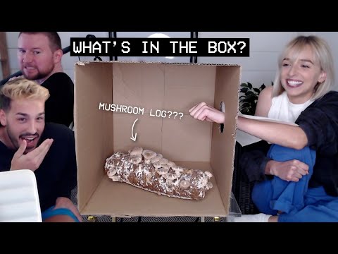 trying to guess WHAT'S IN THE BOX?  (w/ Ricky + Jacob)