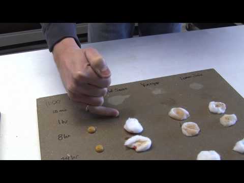 Concrete countertops: Sealers Part 3 - Testing