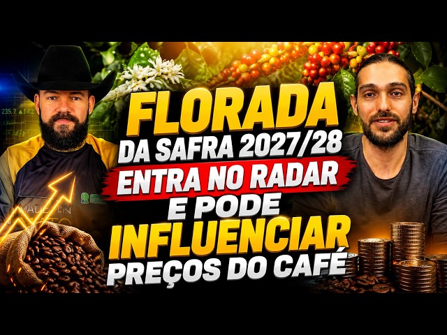 Florada da safra 2027/28 entra no radar e pode influenciar preços do café.