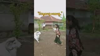 Download lagu DOMBA GARUT GOYANG #tiktok #shorts #lucu mp3 Download lagu DOMBA GARUT GOYANG #tiktok #shorts #lucu mp3