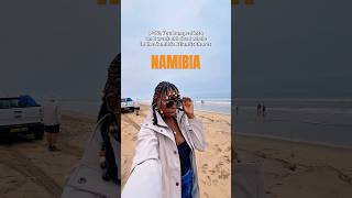 Dead Whale the Size of a Bus Discovered in the Middle of Nowhere #nature #namibia