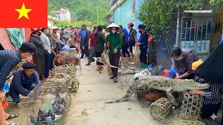 Download lagu Vietnam's Roadside Markets – Where Traditional Meets Everyday Life mp3