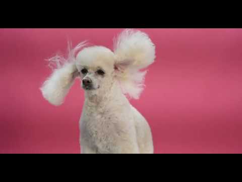 KUSK - It's Simple - Official