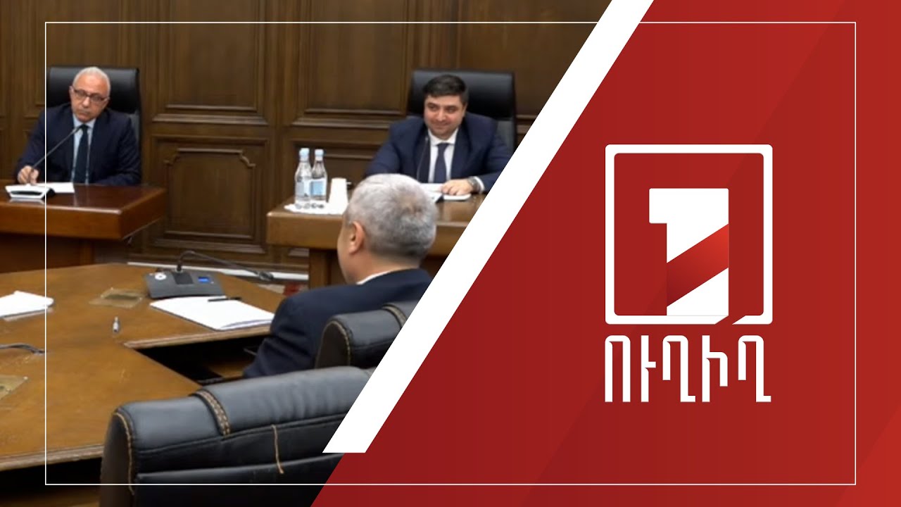 2024-ի պետբյուջեի կատարողականը՝ ԱԺ մշտական հանձնաժողովների համատեղ նիստում | ՈՒՂԻՂ