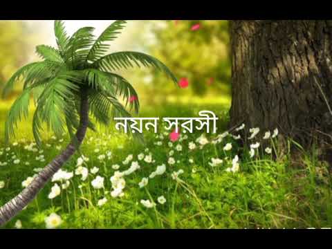 নয়ন সরসী কেন..........(bangali song)....