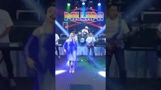 Download lagu Story' Wa NEW PALLAPA mp3