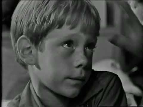 2x22 pt.4 Chiamata a lunga distanza - Ai Confini Della Realtà (The Twilight Zone)