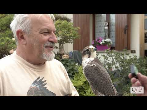 Ivano Bettiol è il “Signore dei rapaci”, uno degli ultimi falconieri che pratica l’arte venatoria
