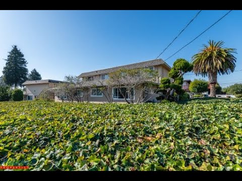 Wilder 5085 - Video 2 of 2