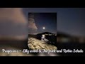 Prayer In C Lilly Wood The Prick And Robin Schulz Sped Up Version TikTok Remix 🫶