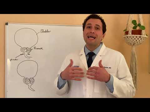 HoLEP with Dr. Sobol of Urology of VA