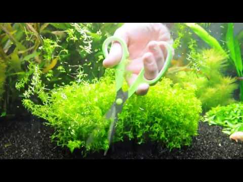 Watch Video on YouTube