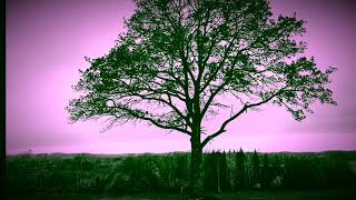 Opus Magni - Raubtier Cover