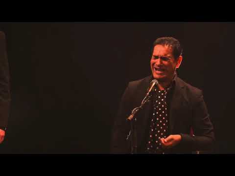 Aurélia Vidal - Extrait du spectacle en streaming - SOLEA