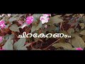 Thaniye Mizhikal Song Lyrics Whatsapp Status