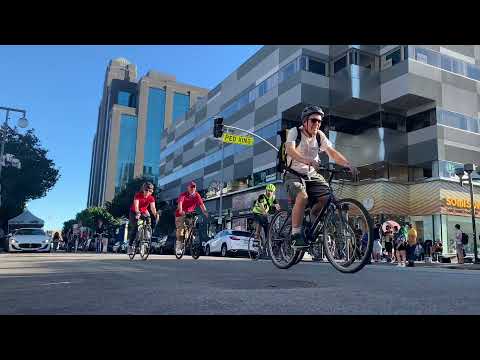 The Chanterelles are Waning: A Vaginal Davis-Style LA Bike Tour