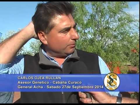 Curacó - Nota Carlos Ojea Rullan - General Acha - 27/09/2014