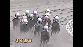 ホーエイトップ　名古屋競馬場での最後の重賞勝利　名古屋杯