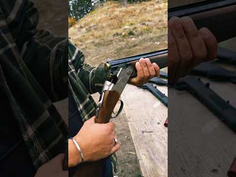 Beretta 686 pigeon #canada #berettaca#overunder#shorts #shotgun#gunculture #sidhumoosewala #hunting