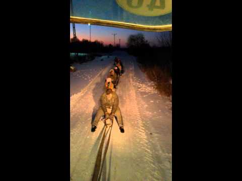 nebunii de la babasesti 3