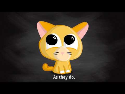 Introducing King Cat