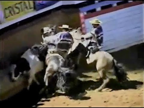 2009 | Criadero Peleco con Gustavo Valdebenito y Luis Fernando Corvalán en Ronaldo y Quidico