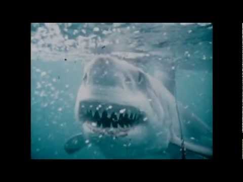 Inner Space - 1973 Television Series Trailer