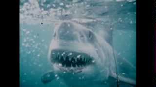 Inner Space - 1973 Television Series Trailer