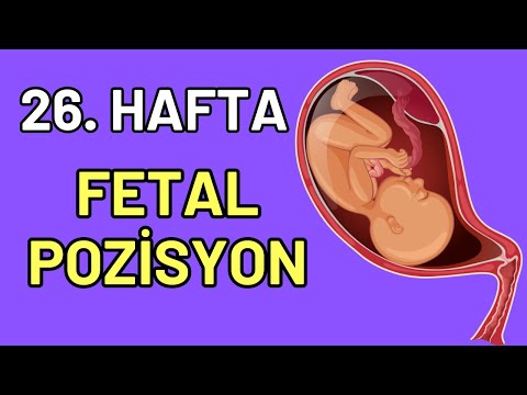 Hafta Hafta Gebelik - 26 HAFTA: Fetal Pozisyona Geçiyor!
