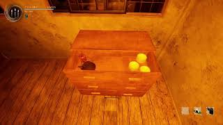 シャドーコリドー2 ,影廊2,PS5版 （マイクミュート）