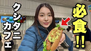 父とバイクでネオパーサ清水へ！クシタニカフェでホットドッグ＆ジェラート満喫ツーリング